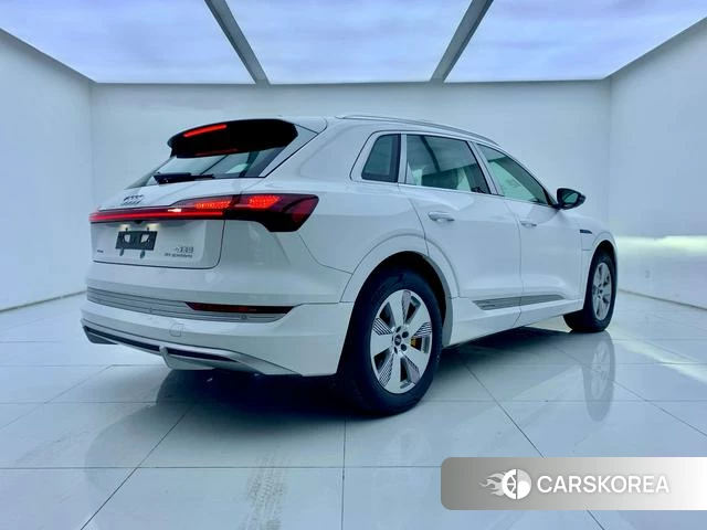 Audi e-tron id 4307330 из Китая 15