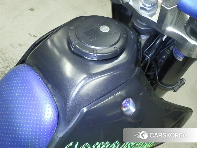 Kawasaki D-TRACKER X id 3949041 из Японии 15