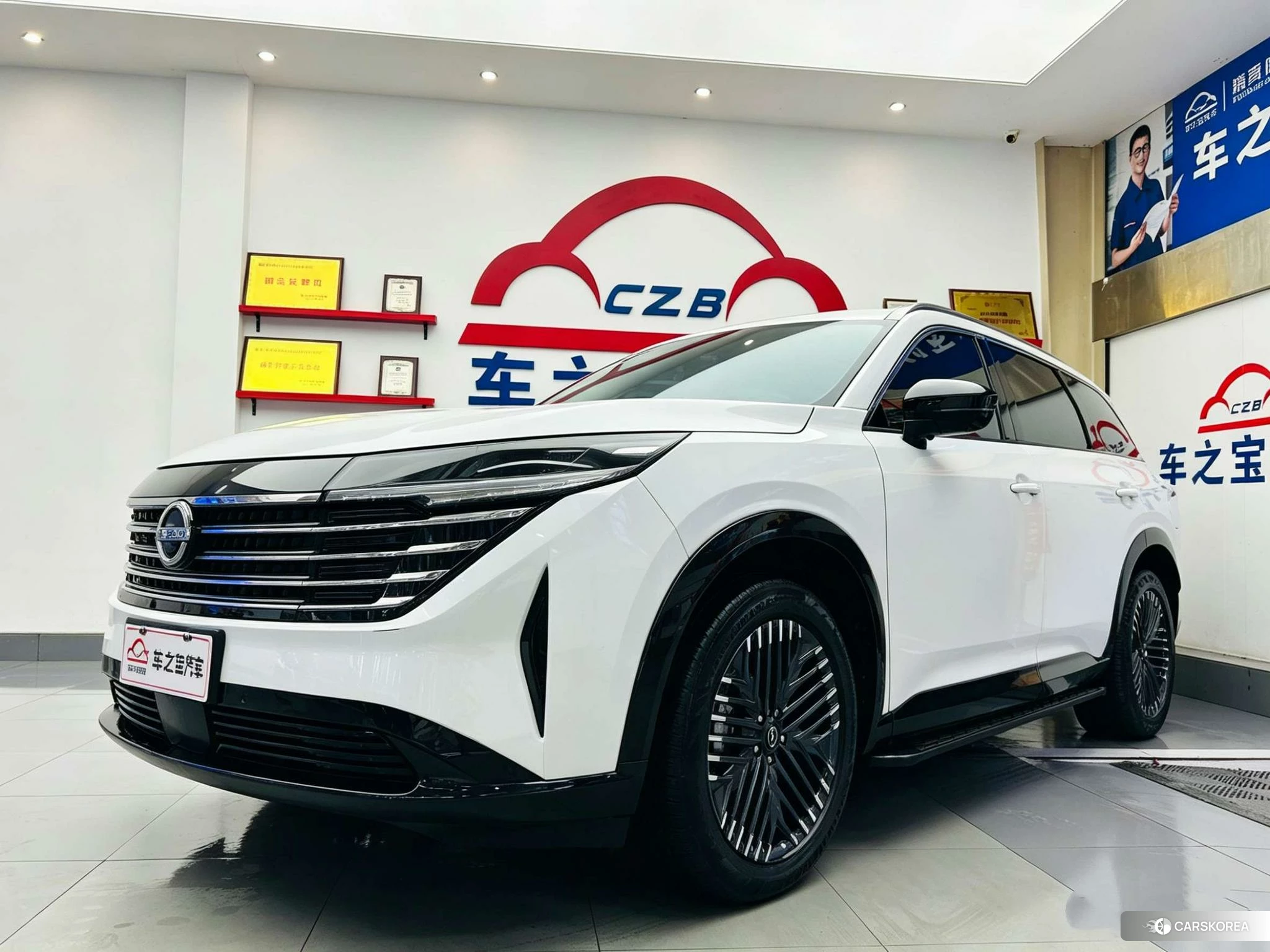 Nissan Exploring the land id 4512527 из Китая 15