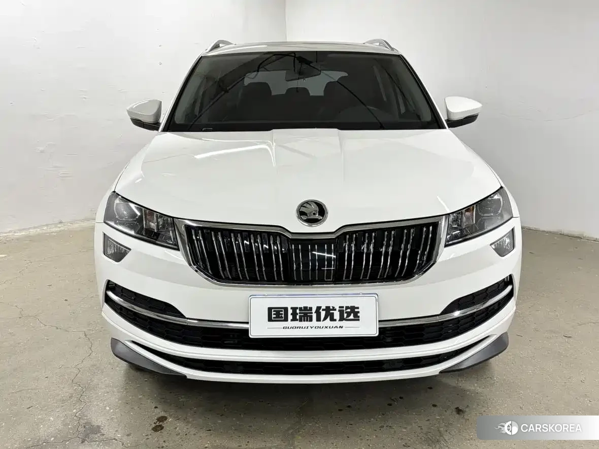 Skoda Karoq id 4681233 из Китая 15