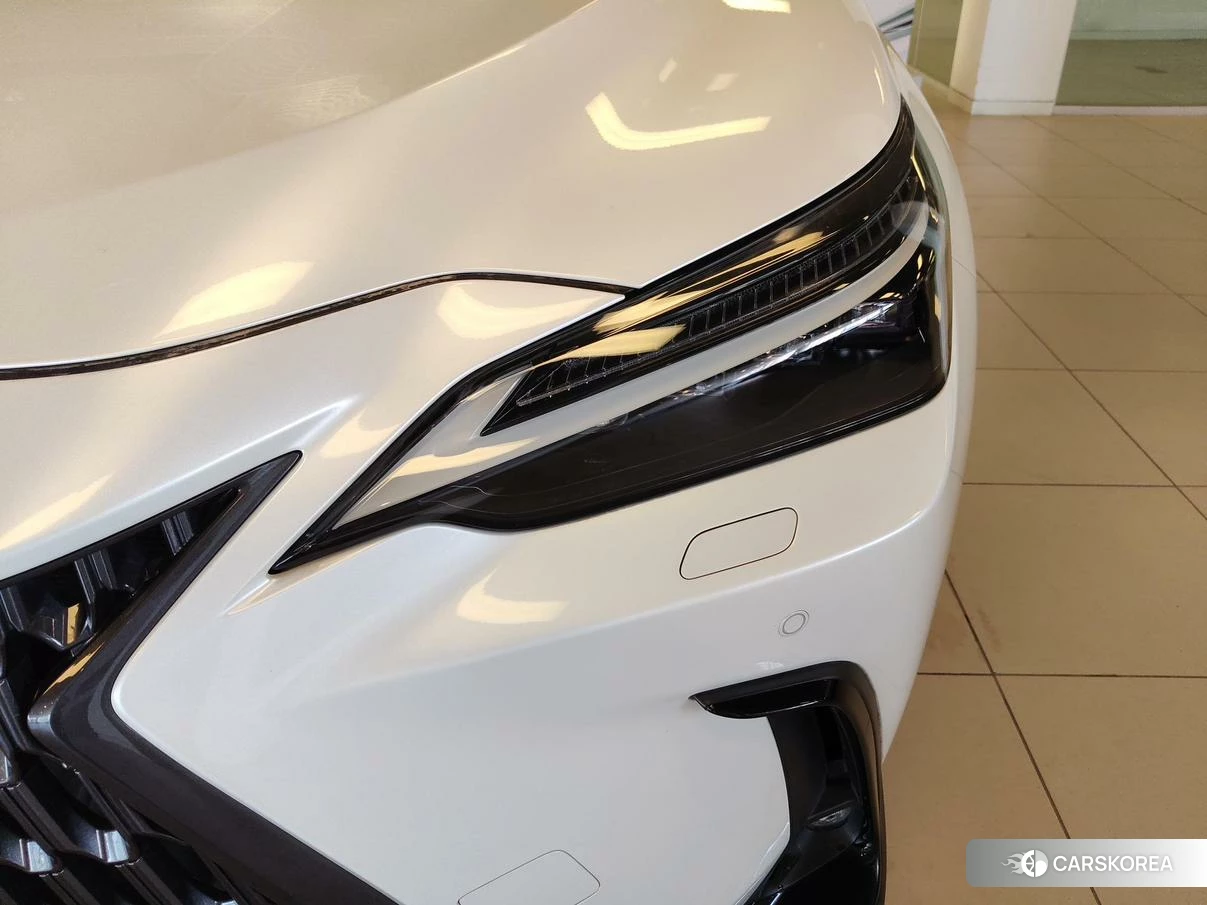 Lexus NX PHEV id 4498690 из Китая 15