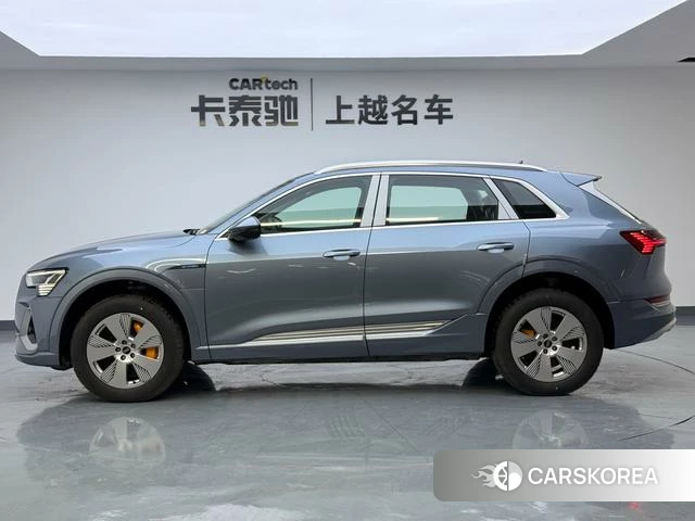 Audi e-tron id 4272349 из Китая 15