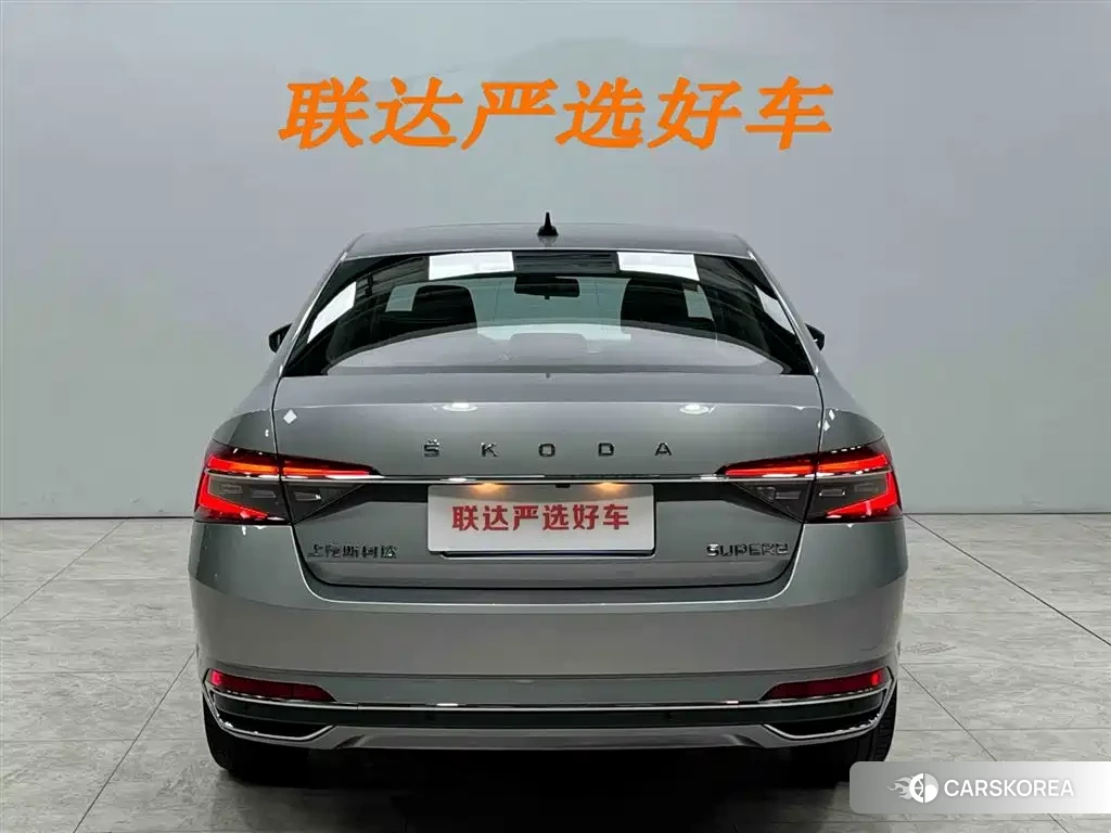 Skoda Speed pie id 4515552 из Китая 15