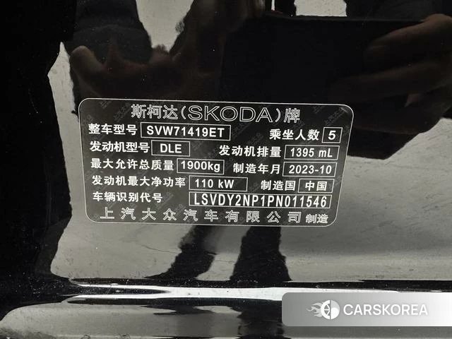 Skoda Speed pie id 4368038 из Китая 15