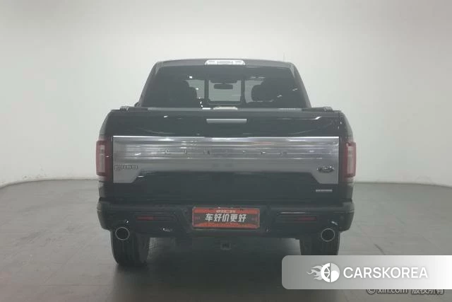 Ford F-150 id 4210205 из Китая 15