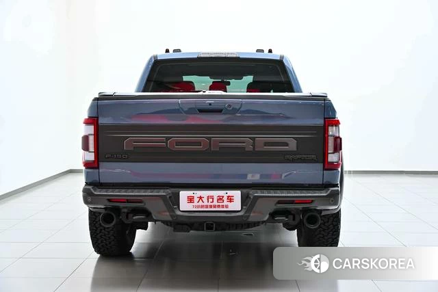 Ford F-150 Raptor id 4394140 из Китая 15