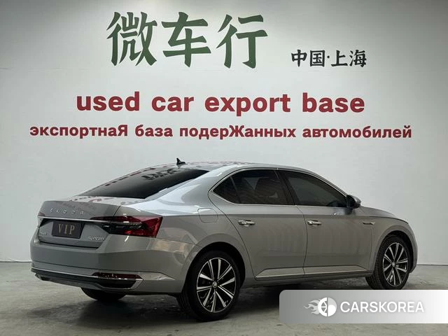 Skoda Speed pie id 4239098 из Китая 15