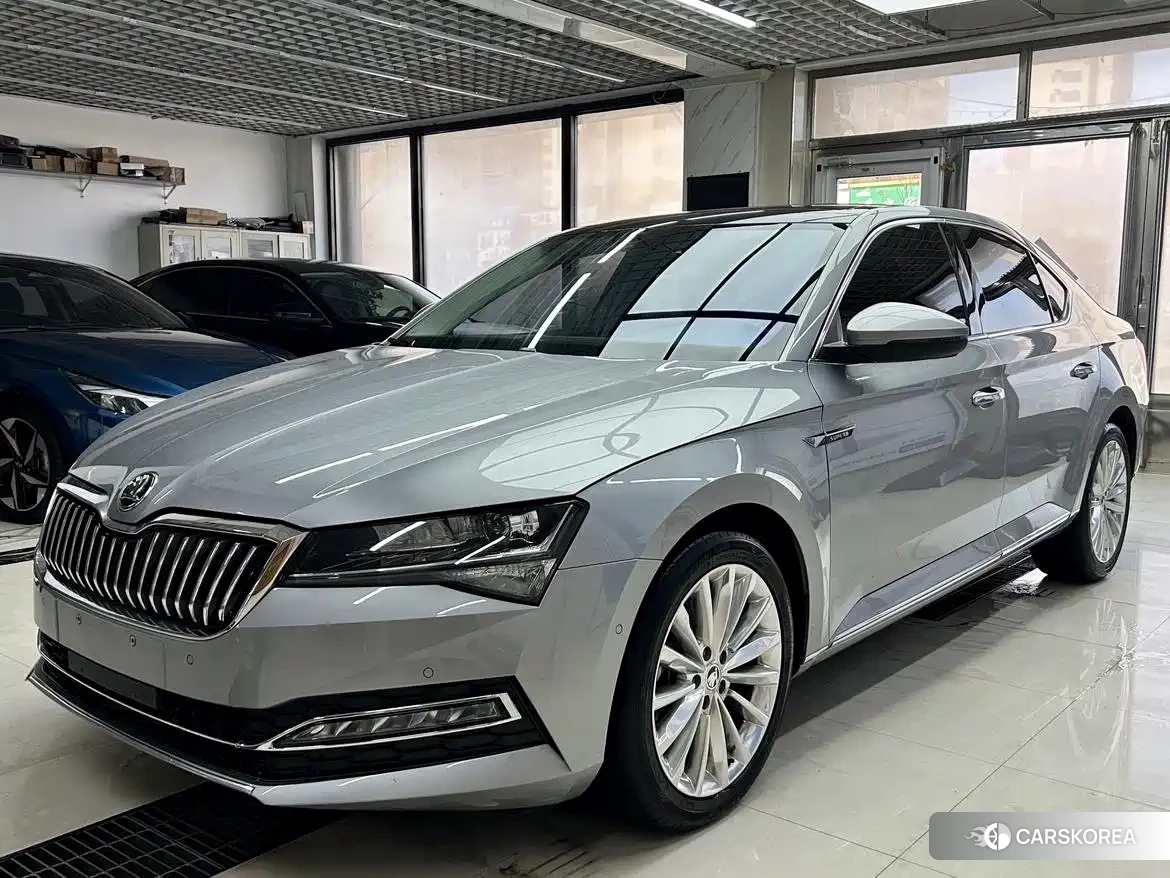 Skoda Speed pie id 4577624 из Китая 15