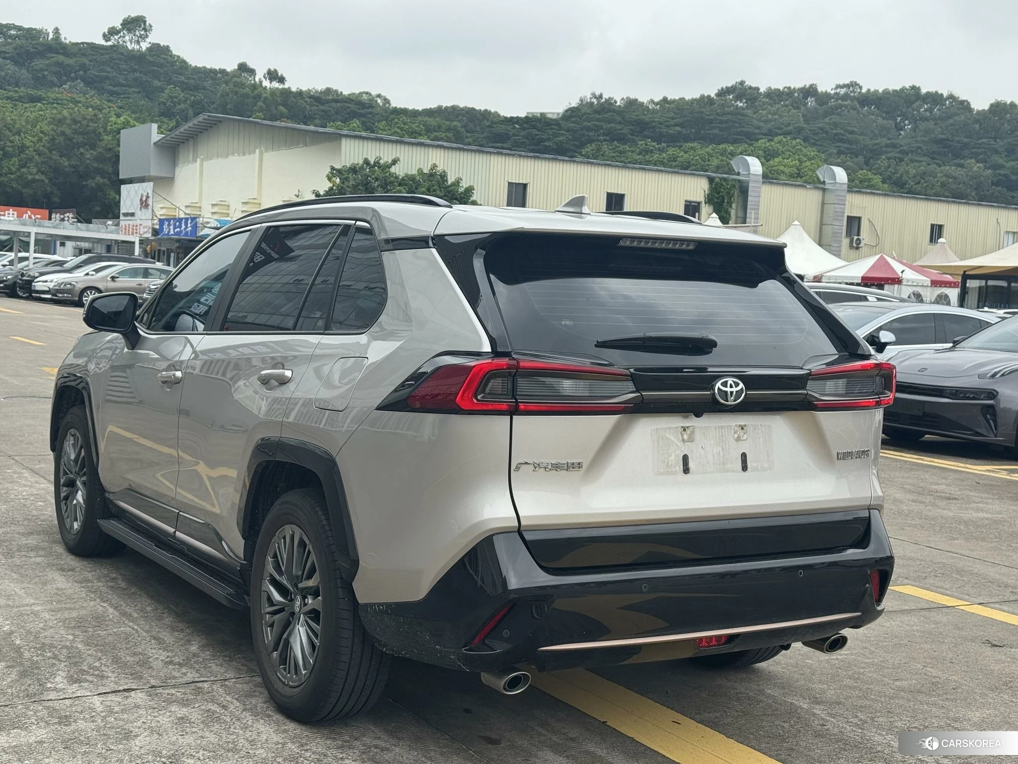 Toyota Wildlander id 4510877 из Китая 15