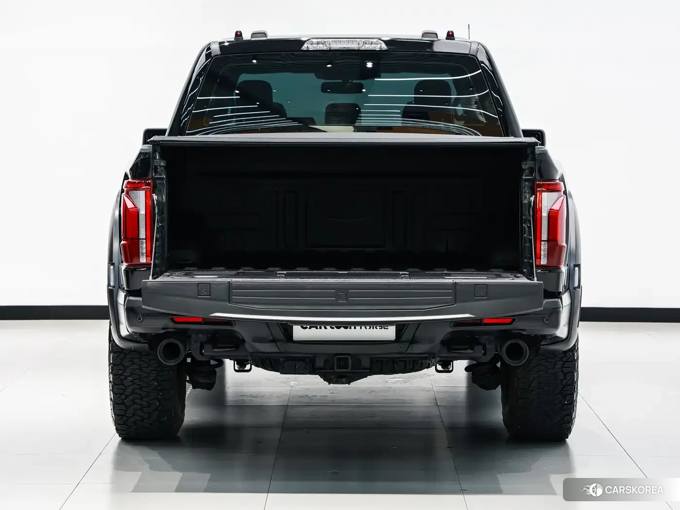 Ford F-150 Raptor id 4538915 из Китая 15