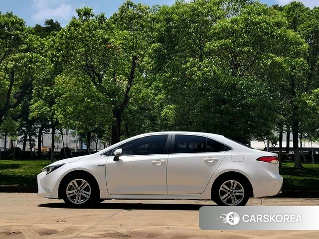 Toyota Lei Ling id 4353501 из Китая 15
