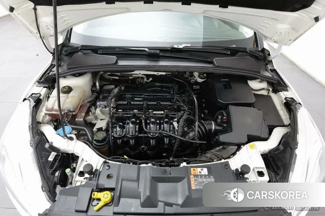 Ford Fox id 4254292 из Китая 15