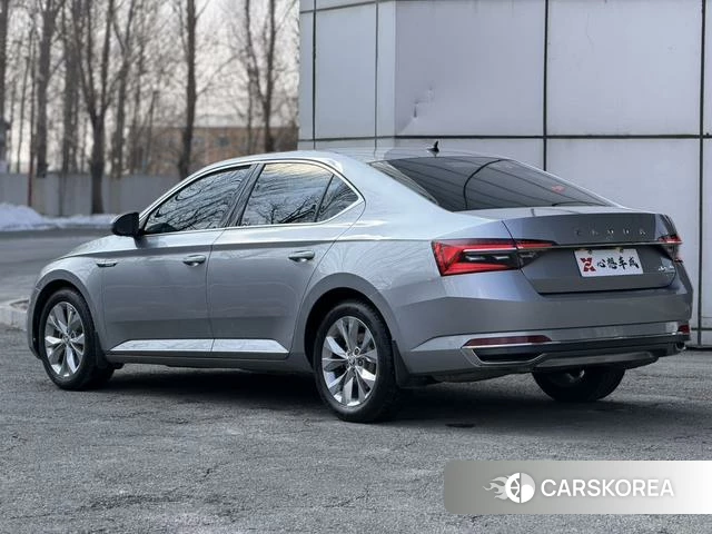 Skoda Speed pie id 4207761 из Китая 15