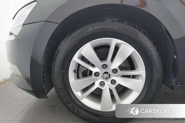 Skoda Speed pie id 4210065 из Китая 15