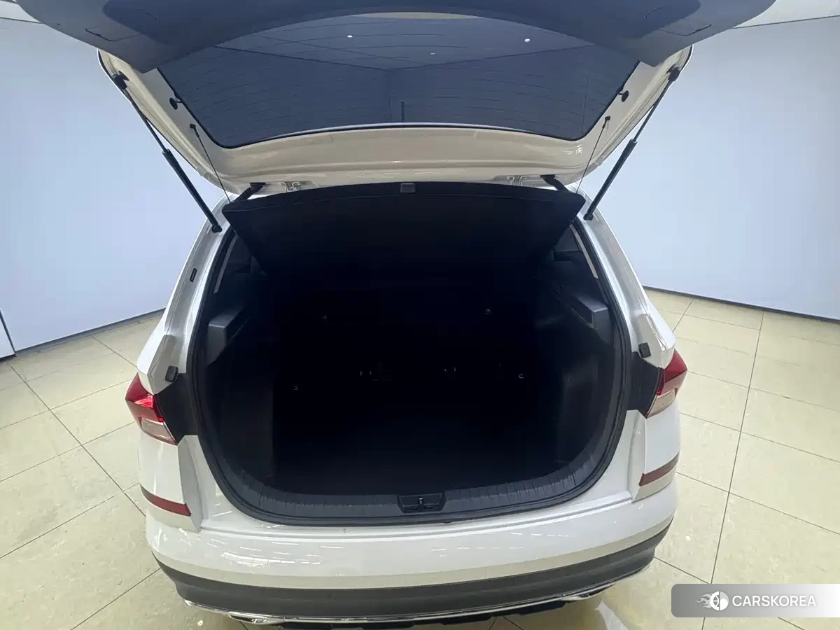 Skoda Kamiq id 4654539 из Китая 15