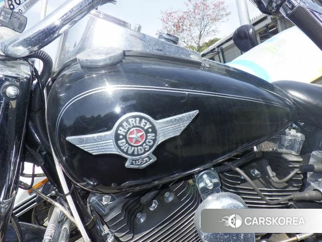 Harley-Davidson Softail Fat Boy FLSTF1580 id 3945614 из Японии 15