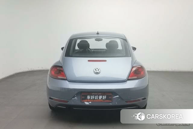Volkswagen Beetle id 4210594 из Китая 15