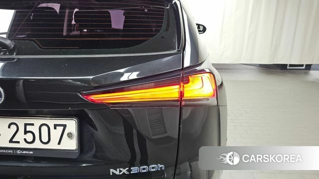 Lexus NX300h id 4396346 из Кореи 15
