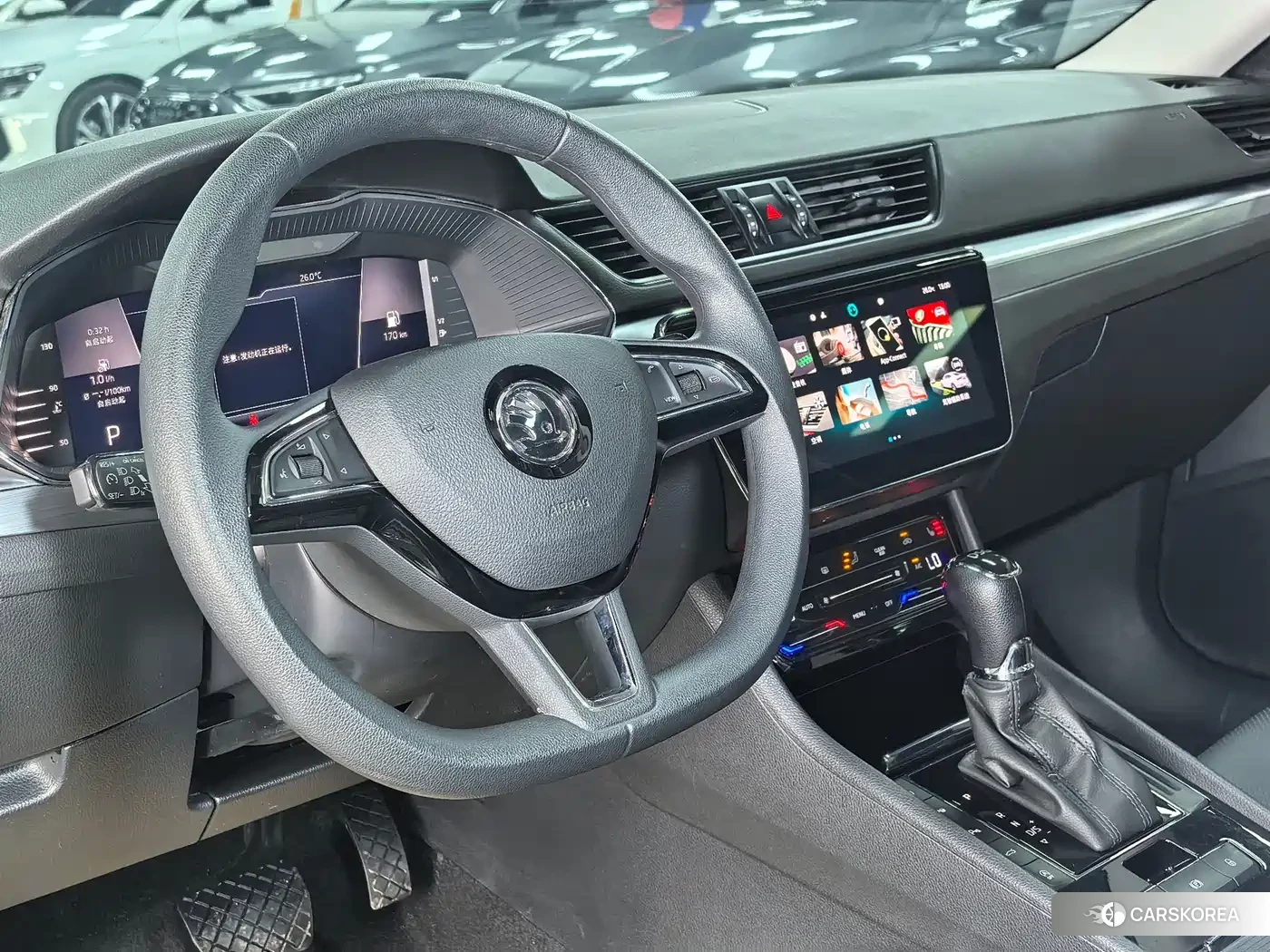 Skoda Speed pie id 4578277 из Китая 15