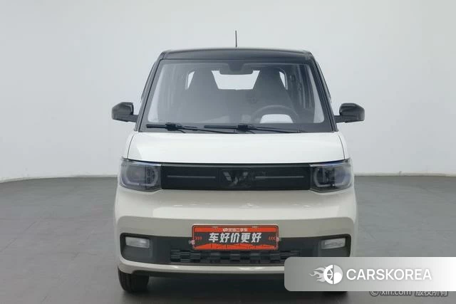 Wuling Automobile Wuling Hongguang MINIEV id 4210106 из Китая 15