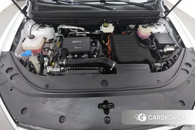 BYD Sea Lion 05DM id 4210285 из Китая 15