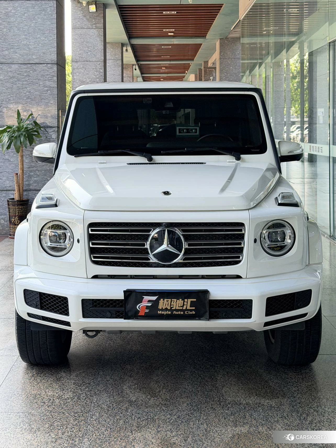 Mercedes-Benz G-class id 4455796 из Китая 15