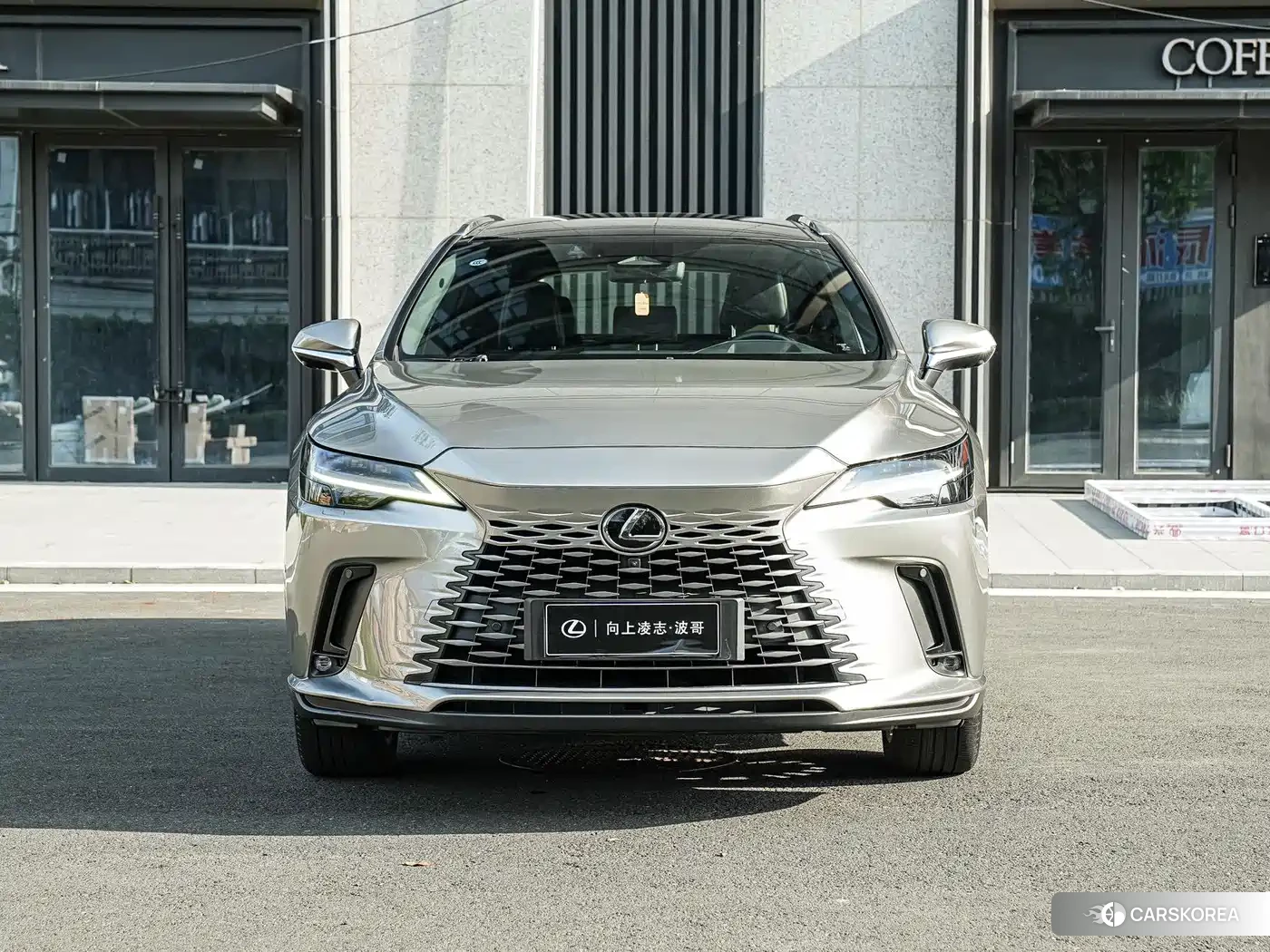 Lexus RX id 4600607 из Китая 15