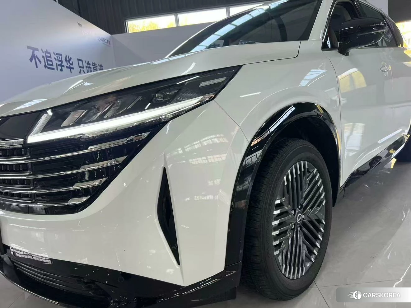 Nissan Exploring the land id 4513821 из Китая 16