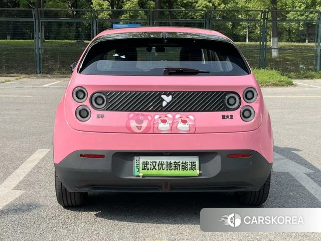 firefly firefly Unknown id 3993377 из Китая 16