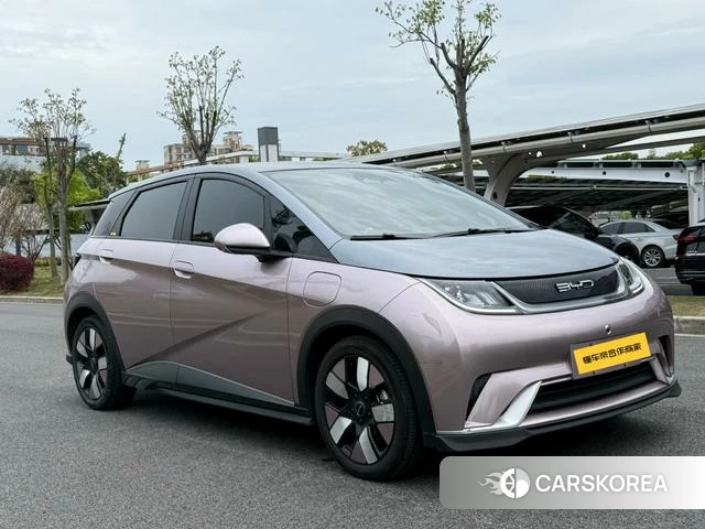 BYD dolphin id 4211195 из Китая 16