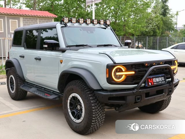 Ford Lie Ma id 4254541 из Китая 16
