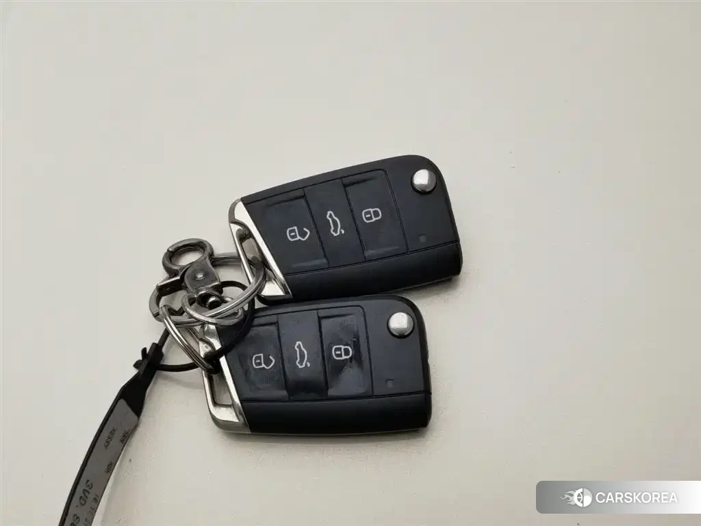 Skoda Speed pie id 4547467 из Китая 16
