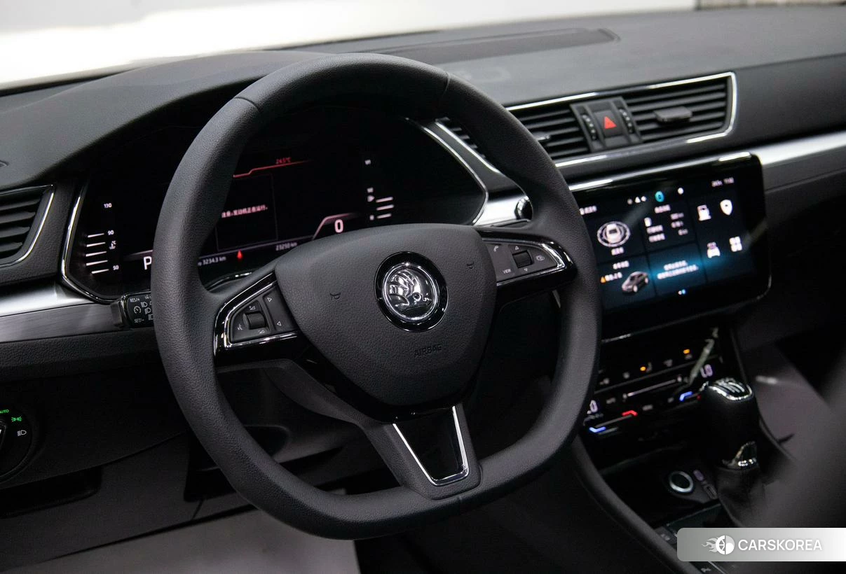 Skoda Speed pie id 4440606 из Китая 16