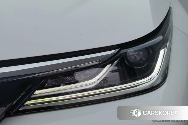 Toyota Asian lion id 4259145 из Китая 16