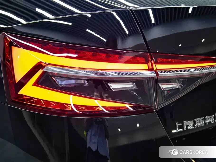 Skoda Speed pie id 4559648 из Китая 16