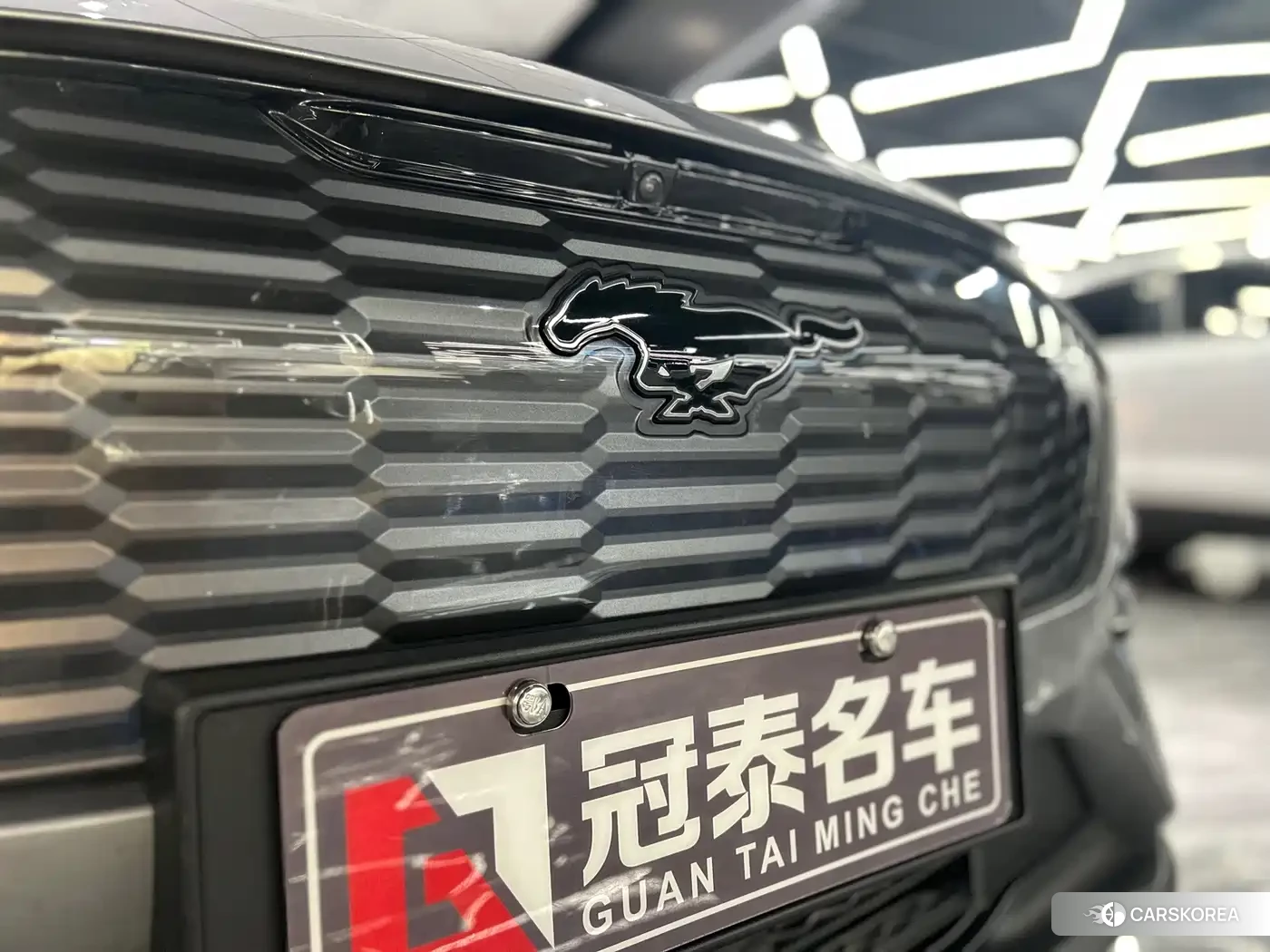 Ford Electric horse id 4644639 из Китая 17