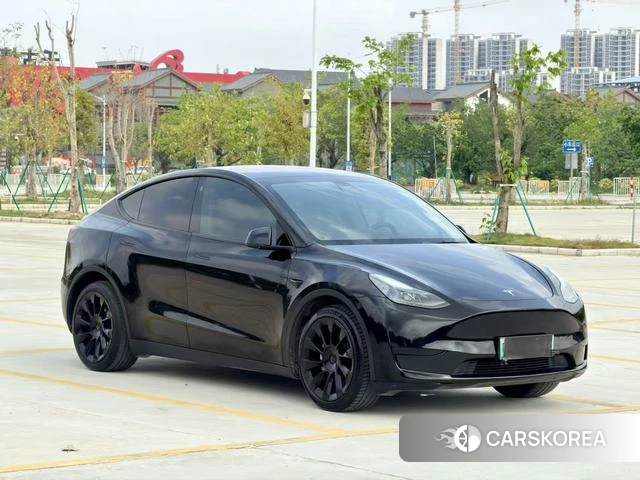 Tesla Model Y id 3896259 из Китая 16