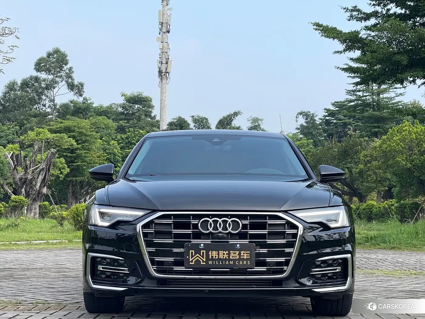 Audi A6L id 4685994 из Китая 16