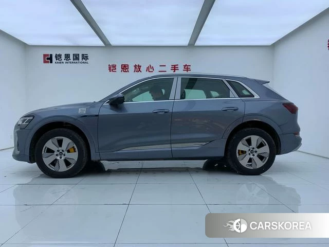 Audi e-tron id 4291257 из Китая 16