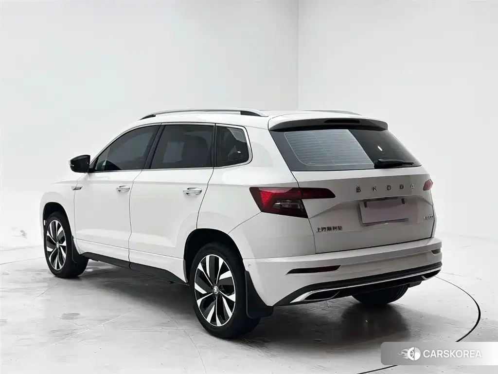 Skoda Karoq id 4628183 из Китая 16