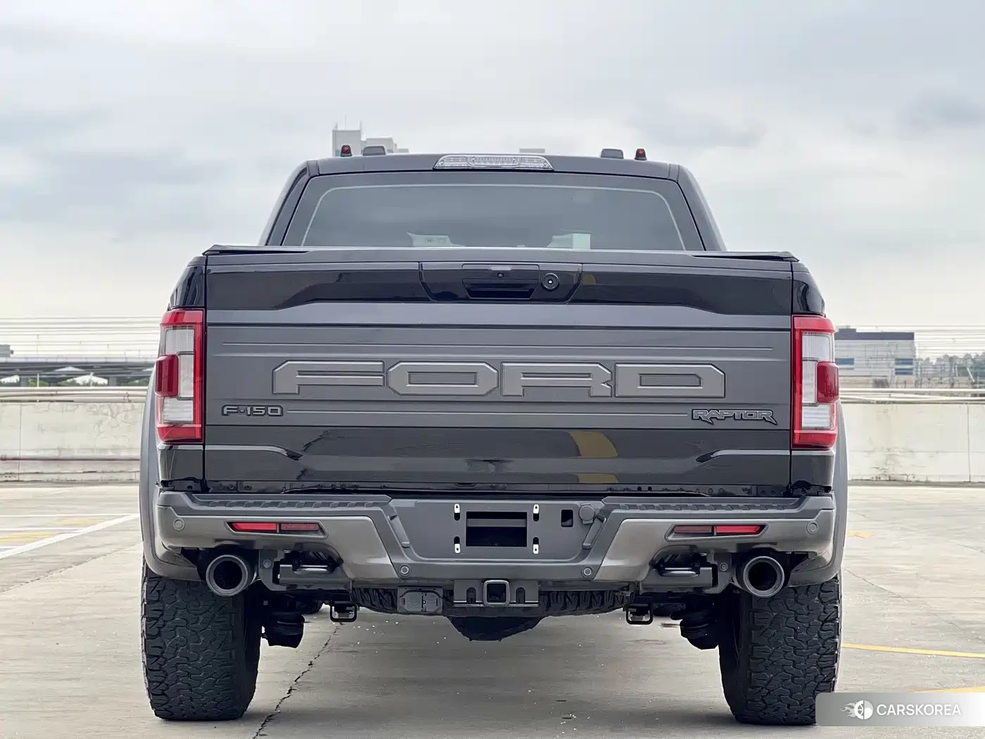 Ford F-150 Raptor id 4553706 из Китая 16