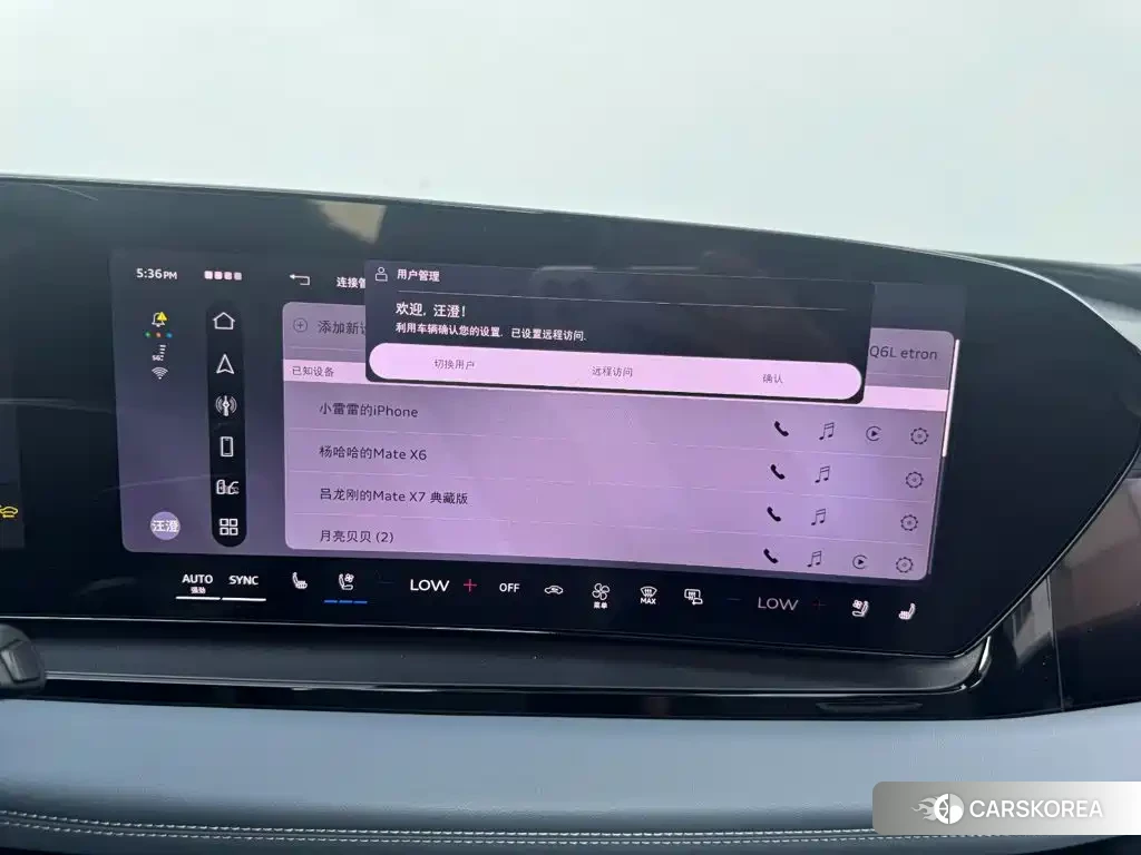 Audi Q6L id 4628132 из Китая 16