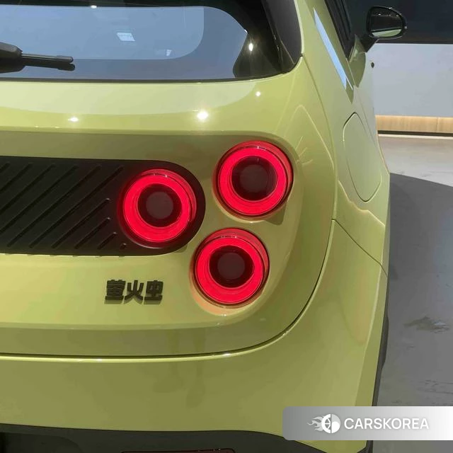 firefly firefly Unknown id 3993585 из Китая 16