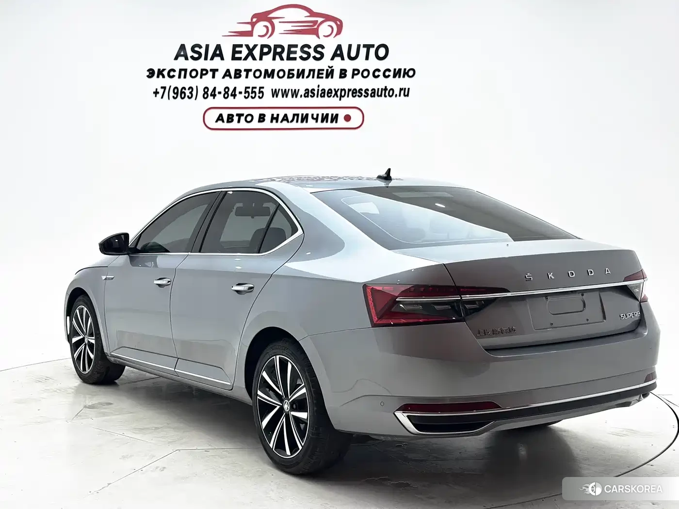Skoda Speed pie id 4546413 из Китая 16
