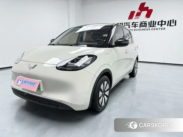 Wuling Automobile Wuling Bingguo id 4216948 из Китая 16