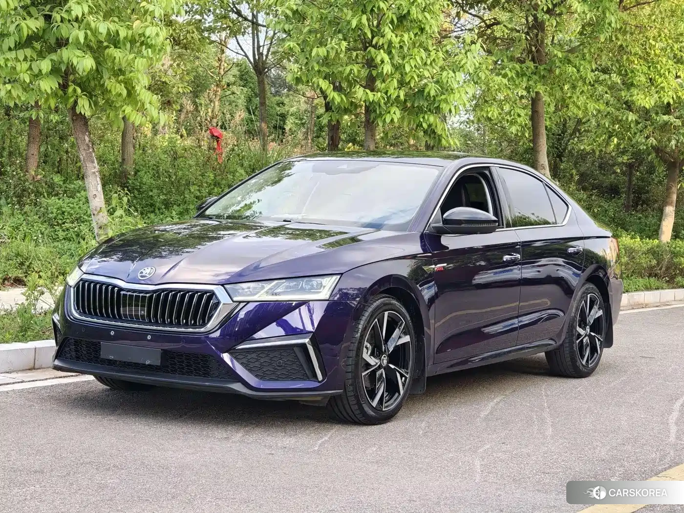 Skoda Octavia id 4546501 из Китая 16