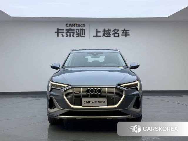 Audi e-tron id 4272349 из Китая 16