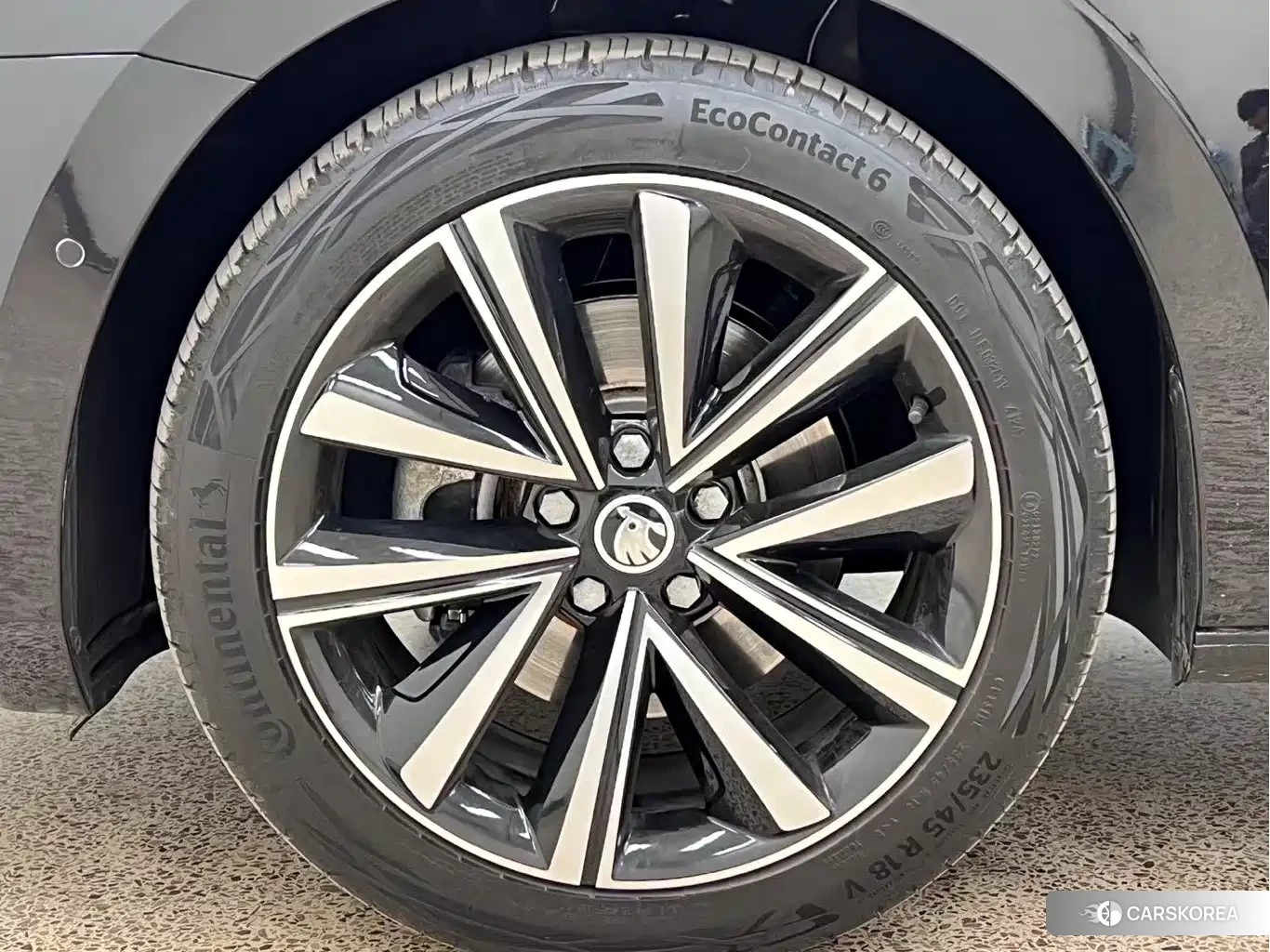 Skoda Speed pie id 4514112 из Китая 16