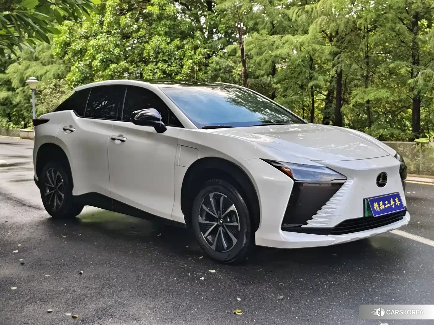 Lexus RZ id 4539170 из Китая 16