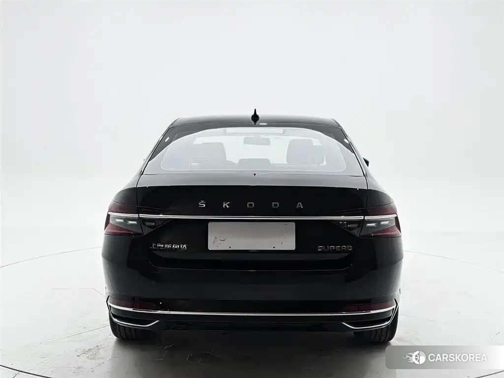 Skoda Speed pie id 4578276 из Китая 16